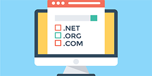 DOMAIN NAMES